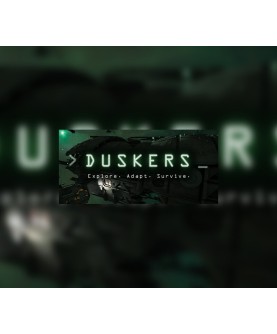Duskers Steam Key EUROPE
